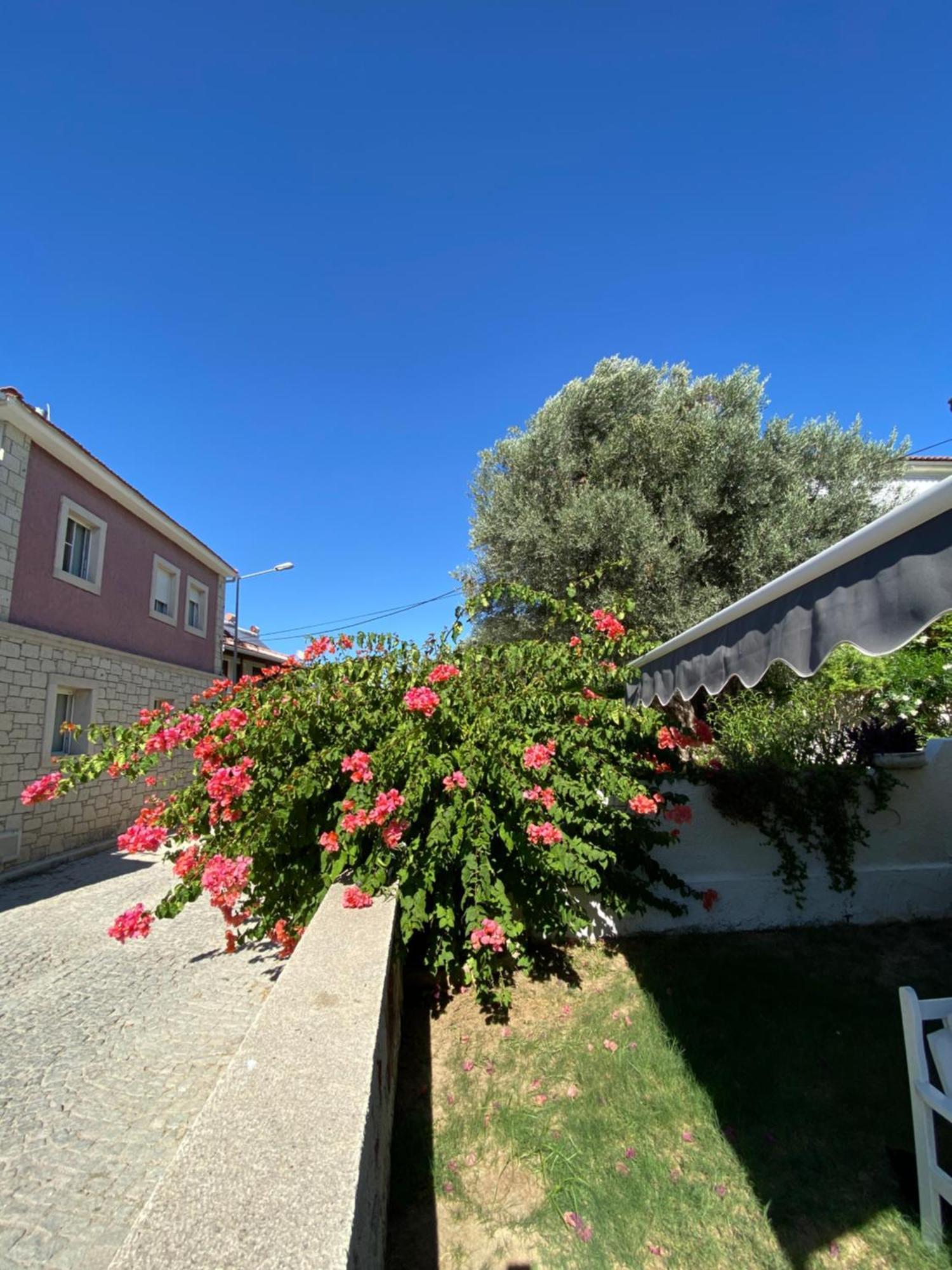 Cakir Bey Hotel Alaçatı Zewnętrze zdjęcie